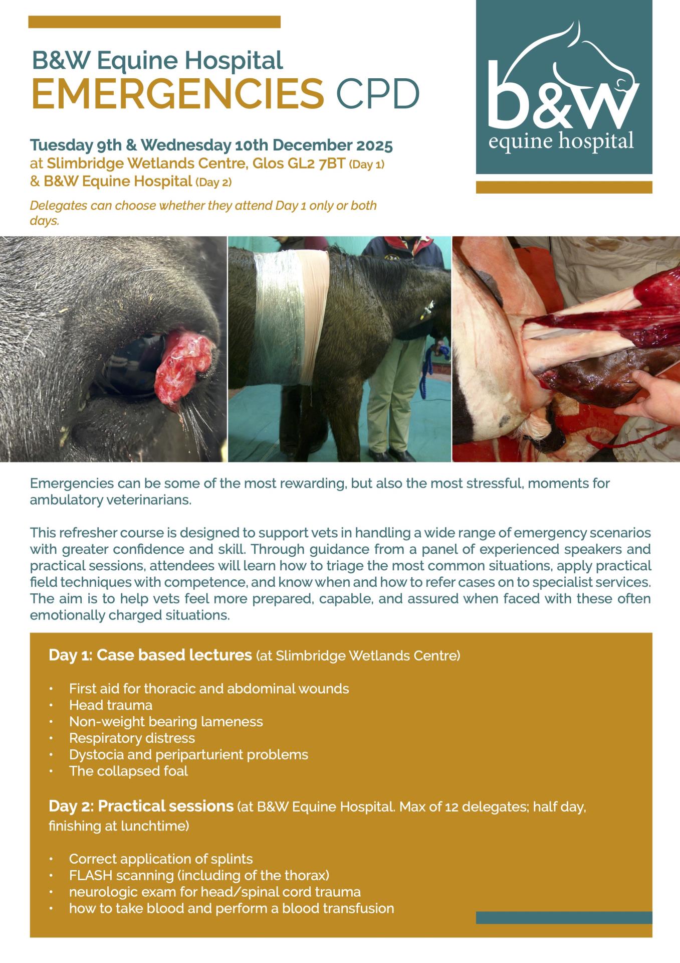 Emergencies CPD page 1